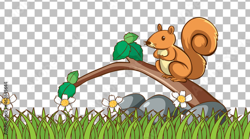 Squirrel on the grass field on transparent background