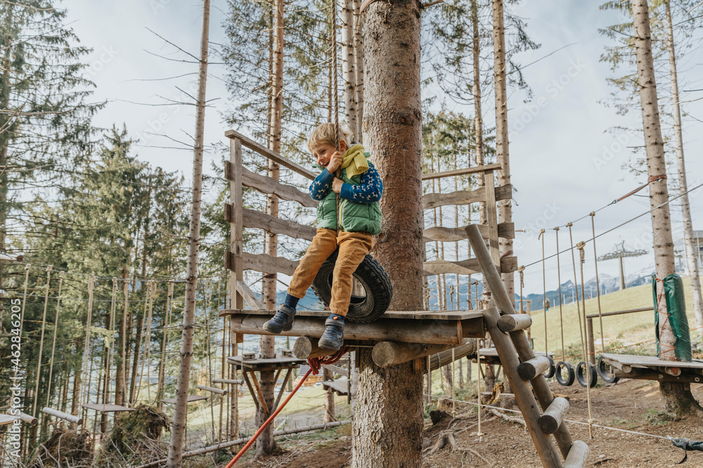 Playful boy hanging on tier in forest at Salzburger Land, Austria Playful boy hanging on tier in forest at Salzburger Land, Austria