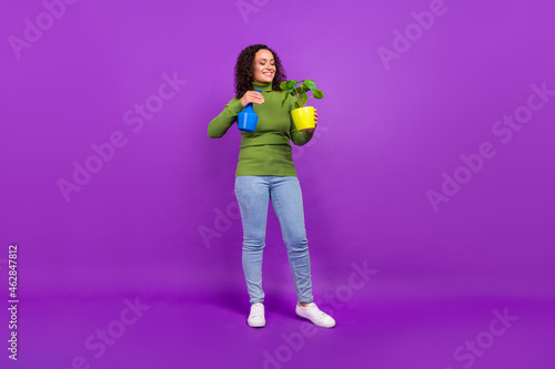 Photo of charming sweet african lady dressed green turtleneck smiling water houseplant isolated violet color background