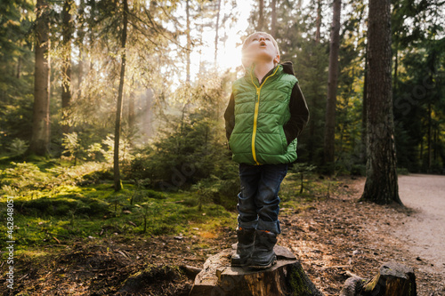 Surprised boy looking up while standing on tree stump in forest photo