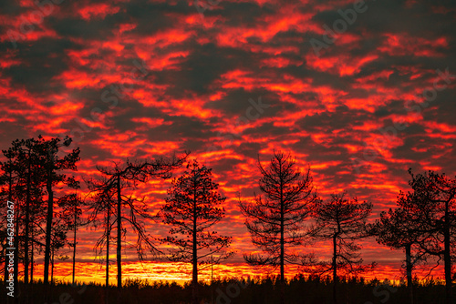 Red sunset over the finish taiga