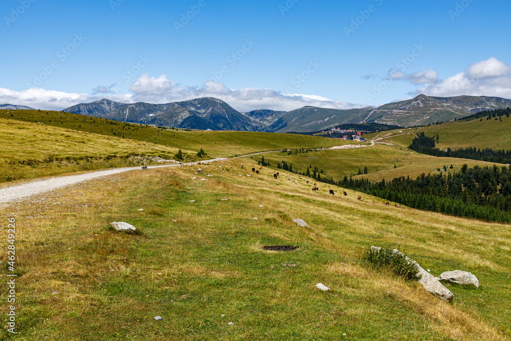 Obraz premium The landscape of the Carpathian Mountains