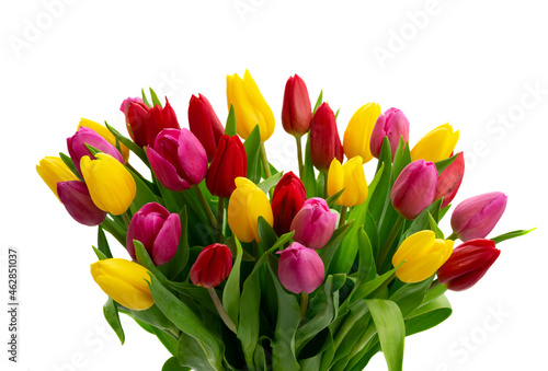 Pink  yeelow and violet tulips flowers
