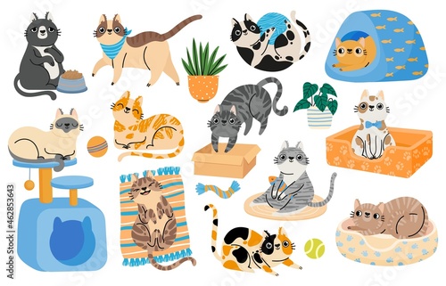 Cartoon cats playing with toys, relaxing and sleeping in bed. Hapy pet kitten characters in funny poses. Cute tabby cat stickers vector set