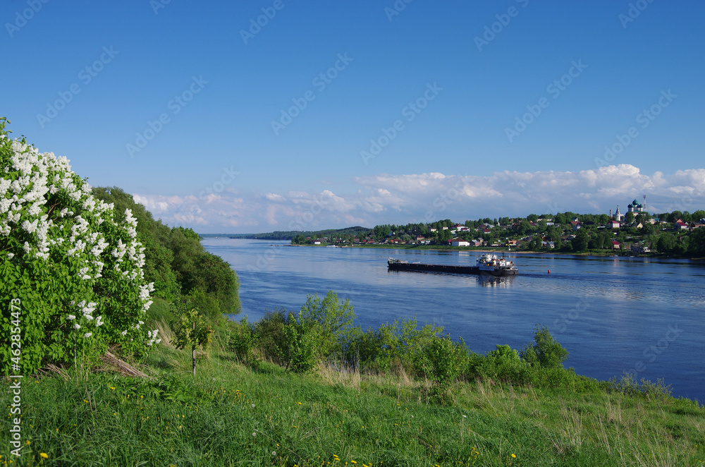 Tutaev, Russia - May, 2021: Blooming lilac bushes on the high bank of the Volga River and a view of the city of Tutaev, Borisoglebskaya side. The barge floats on the river
