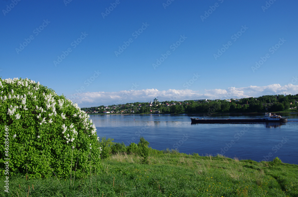 Tutaev, Russia - May, 2021: Blooming lilac bushes on the high bank of the Volga River and a view of the city of Tutaev, Borisoglebskaya side