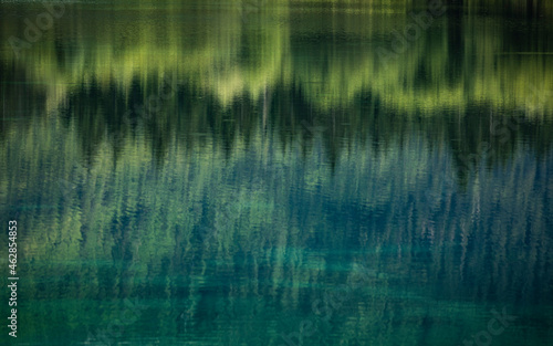 Forest reflected in lam lake surface photo