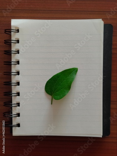Leaf on paper