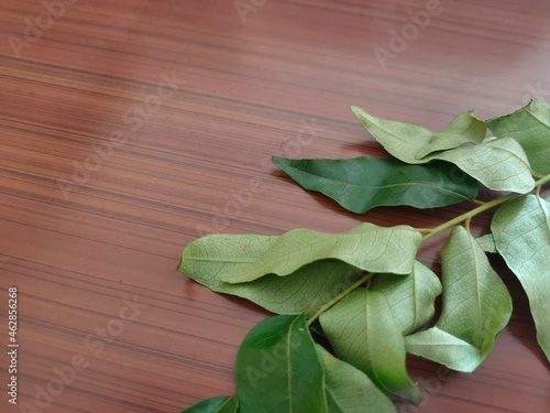 Curry leaves on table