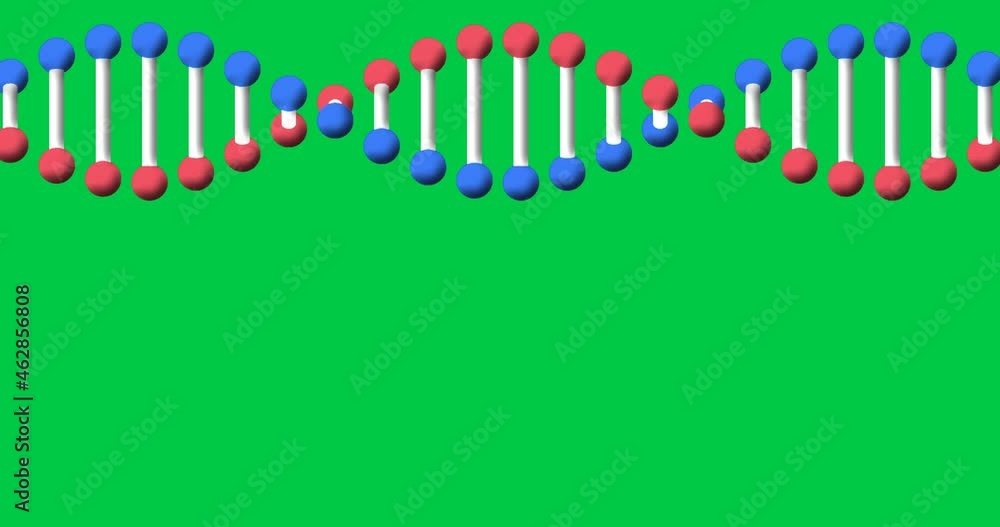 Animation of dna strand spinning with copy space over green screen Animation of dna strand spinning with copy space over green screen