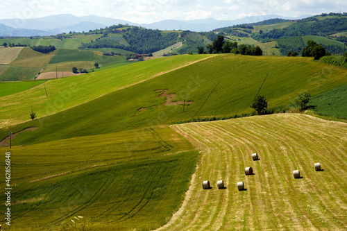 Rural landscape near Salsomaggiore and Fornovo  Parma  at springtime