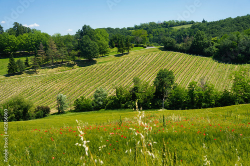 Rural landscape near Sala Baganza and Fornovo, Parma, at springtime