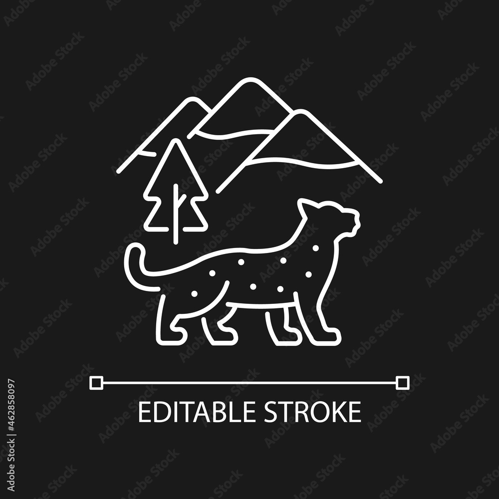 Snow leopard white linear icon for dark theme. Wild animal living in Nepal. Himalayan predator. Thin line customizable illustration. Isolated vector contour symbol for night mode. Editable stroke Snow leopard white linear icon for dark theme. Wild animal living in Nepal. Himalayan predator. Thin line customizable illustration. Isolated vector contour symbol for night mode. Editable stroke