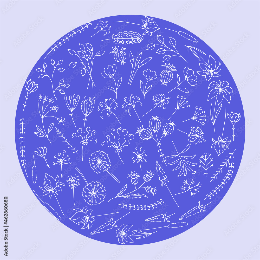 Hand-draw vector illustration for your design. Ornament with decorative leaves. Hand-draw vector illustration for your design. Ornament with decorative leaves.