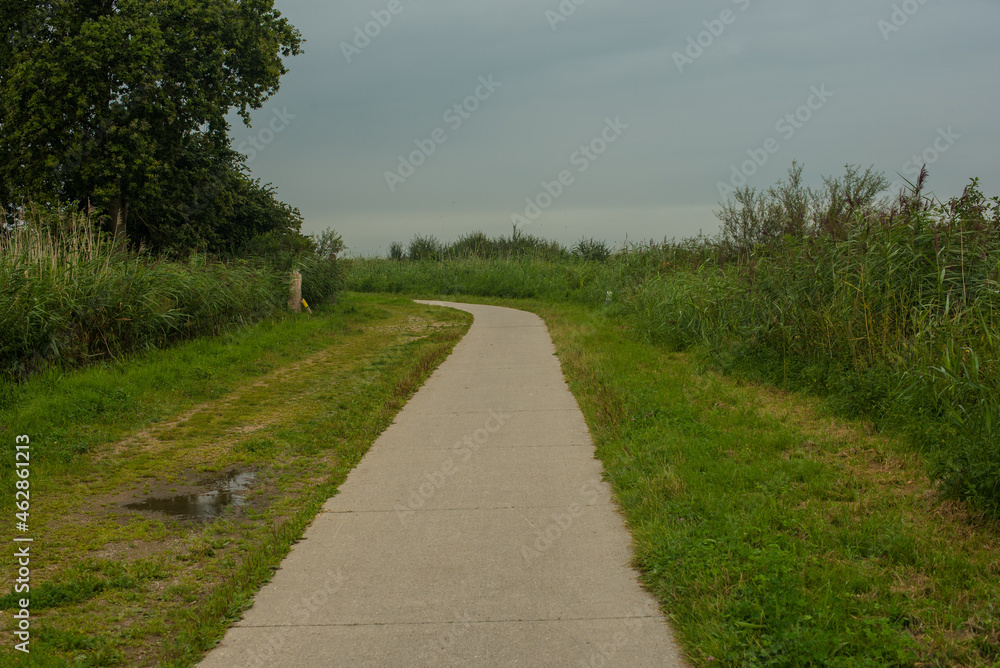 pedestrian path in the summer field
