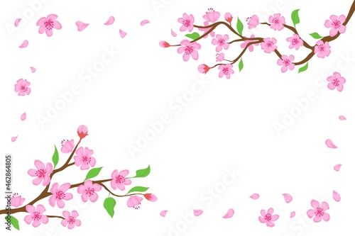 Cartoon japanese cherry blossom and falling petals background. Sakura branches with pink flowers banner Blooming spring tree vector frame