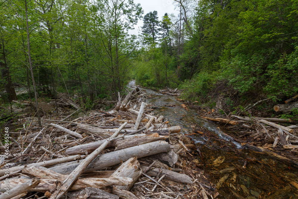 Forest Road. Bad forest road in the Russian taiga. An old timber road in the taiga. The river flows along an old forest road. Forest Road. Bad forest road in the Russian taiga. An old timber road in the taiga. The river flows along an old forest road.