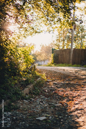 Empty road in the sunny golden rays in yellow colorful autumn park.