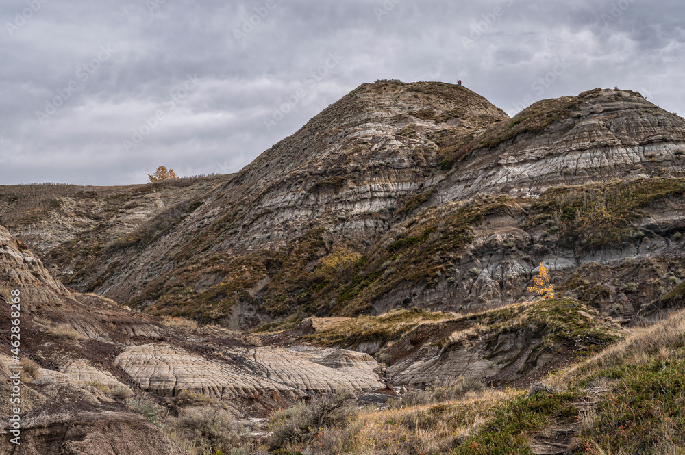 Fototapeta premium Horse Thief Canyon in the Red Deer River valley near Drumheller, Alberta, Canada