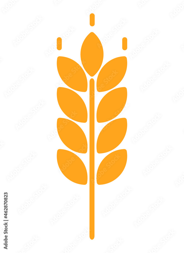 Wheat vector icon design illustration. Oat symbol .Agriculture concept. Ears of Wheat, Barley or Rye vector visual graphic icon, ideal for bread packaging, beer labels etc on white background. Wheat vector icon design illustration. Oat symbol .Agriculture concept. Ears of Wheat, Barley or Rye vector visual graphic icon, ideal for bread packaging, beer labels etc on white background.