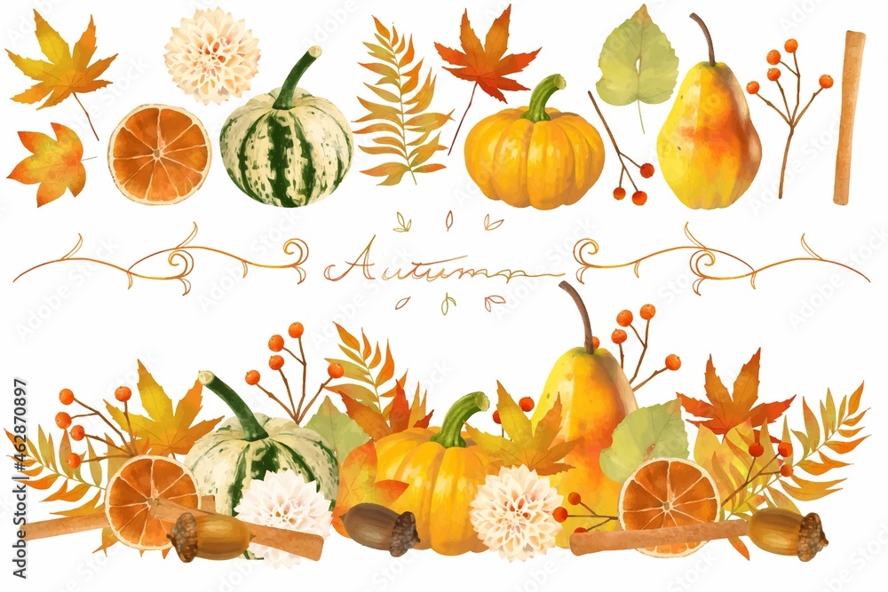 かぼちゃとなしと木の実とどんぐりの秋の味覚植物セットの美しい白バックベクターフレームイラスト素材 Stock Vector Adobe Stock かぼちゃとなしと木の実とどんぐりの秋の味覚植物セットの美しい白バックベクターフレームイラスト素材 Stock Vector Adobe Stock