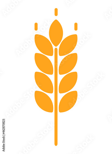 Wheat vector icon design illustration. Oat symbol .Agriculture concept. Ears of Wheat  Barley or Rye vector visual graphic icon  ideal for bread packaging  beer labels etc on white background.