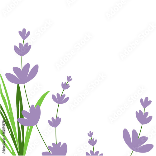 Wallpaper Mural Floral background with lavender and leaves. Vector illustration for romantic design, template for banner or postcard. Torontodigital.ca