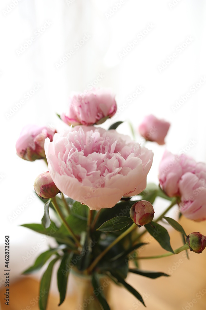 Obraz premium pink peonies in vase