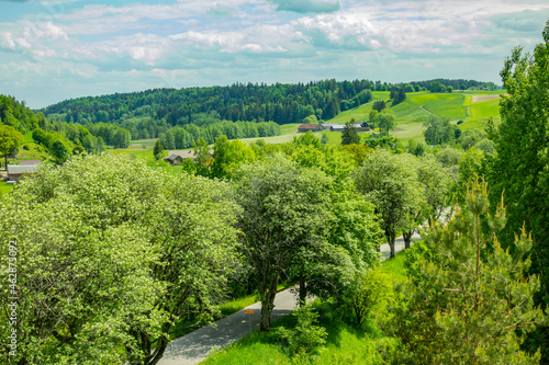 warmia mazury warmińsko-mazurskie stańczyki pole pola łąka drzewa wieś wioska dolina pagórki sielsko farma obszar wiejski 