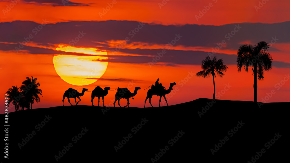 Camel caravan moving in the Sahara desert at sunset. Camel caravan moving in the Sahara desert at sunset.