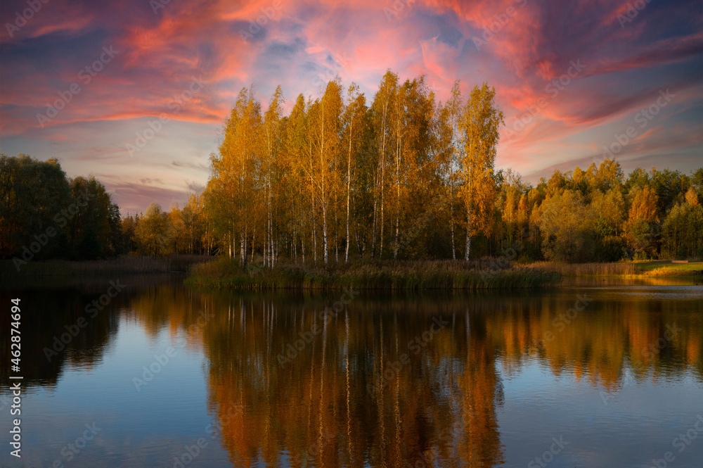 Birch grove in autumn, reflected in the lake at sunset.