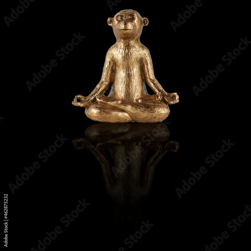 gold metal monkey  isolated on black background with clipping path