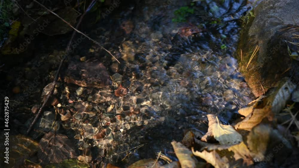 River stones or pebbles on the river shore underwater. Autumn in the forest River stones or pebbles on the river shore underwater. Autumn in the forest
