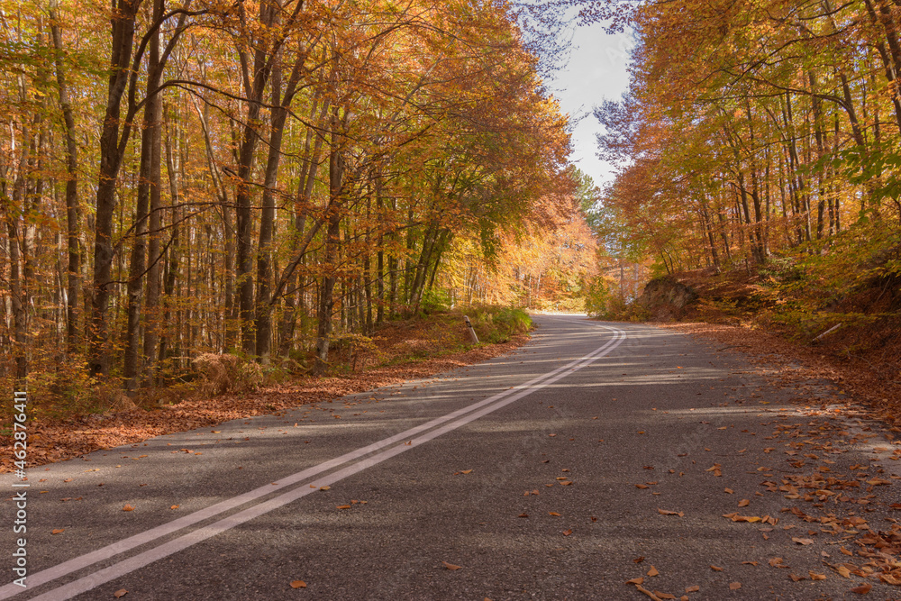 autumn scenery and beautiful road