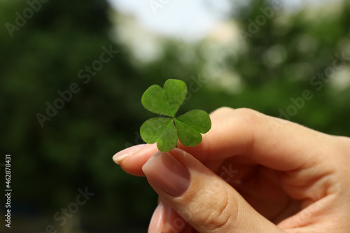 Woman holding green clover leaf outdoors, closeup © New Africa