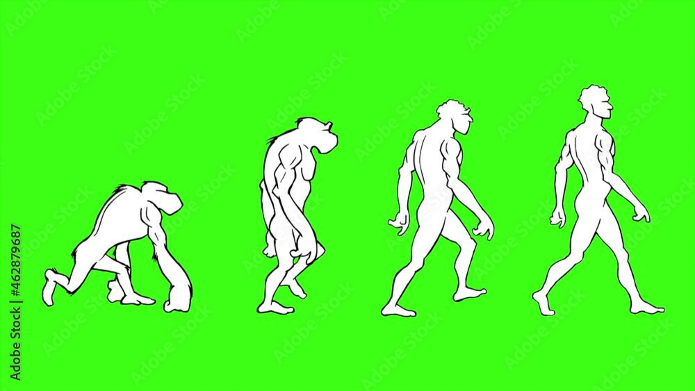 Human Evolution. 4 Stages. Green Screen. Hand Drawn Animation. Stock Video  | Adobe Stock