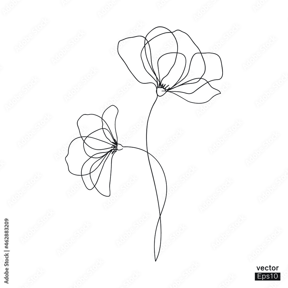two flowers line art. Minimalist contour drawing. One line drawing ...