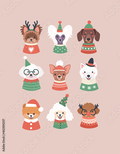 Christmas collection of dogs. Vector illustration with cartoon portraits of cute dogs in cozy Christmas sweaters, costumes and funny hats. Isolated on background