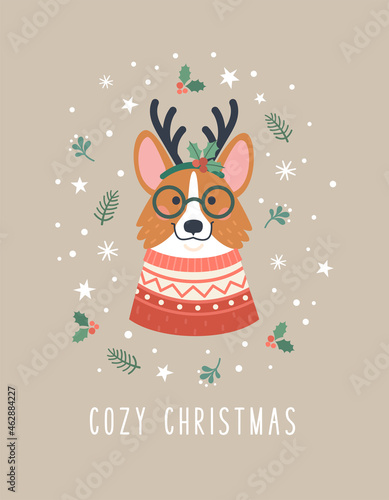Cozy Christmas greeting card. Vector cartoon illustration with cute cartoon Corgi dog in red winter sweater and reindeer horn, surrounded by snow, stars and Christmas plants. Isolated on background