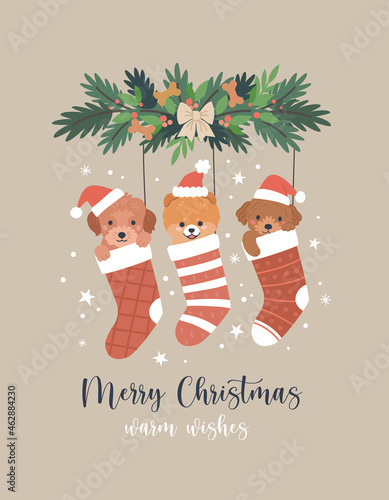 Christmas greeting card. Vector cartoon illustration with three cute cartoon puppies in Christmas red socks. Small dogs in Santa hats. Isolated on background