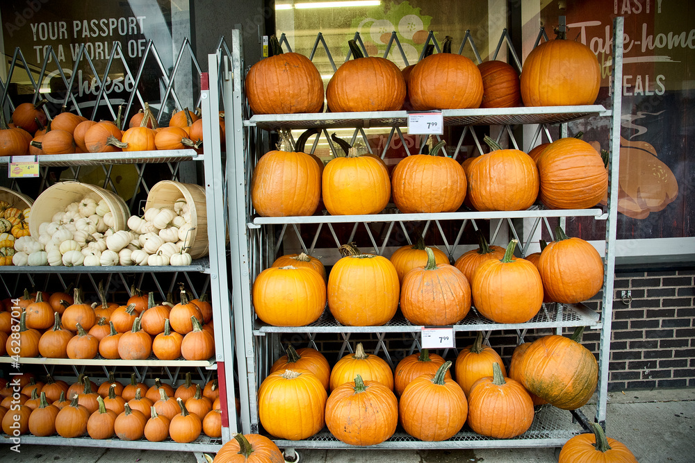 Pumpkins on a rack