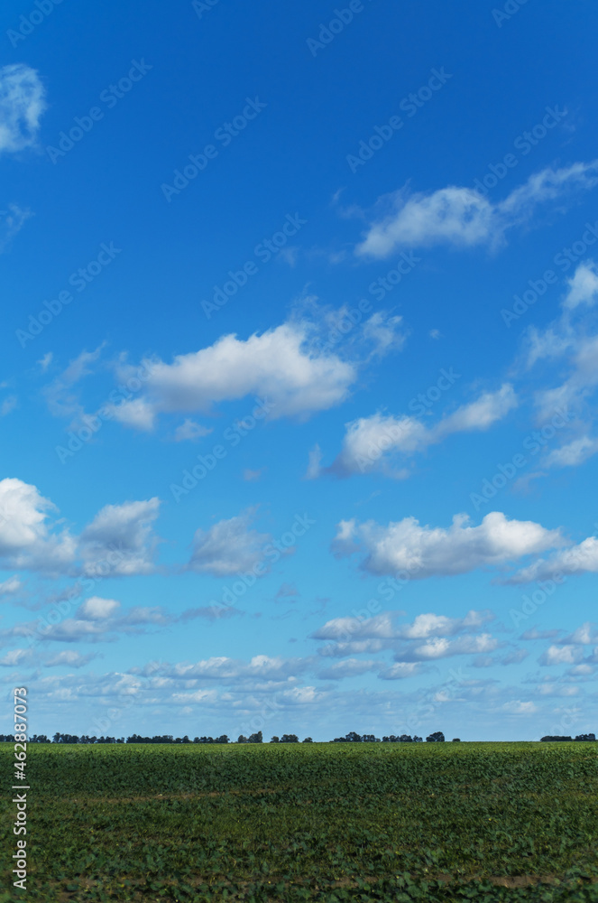 Cultivated agricultural field on rural farm in early autumn season Cultivated agricultural field on rural farm in early autumn season