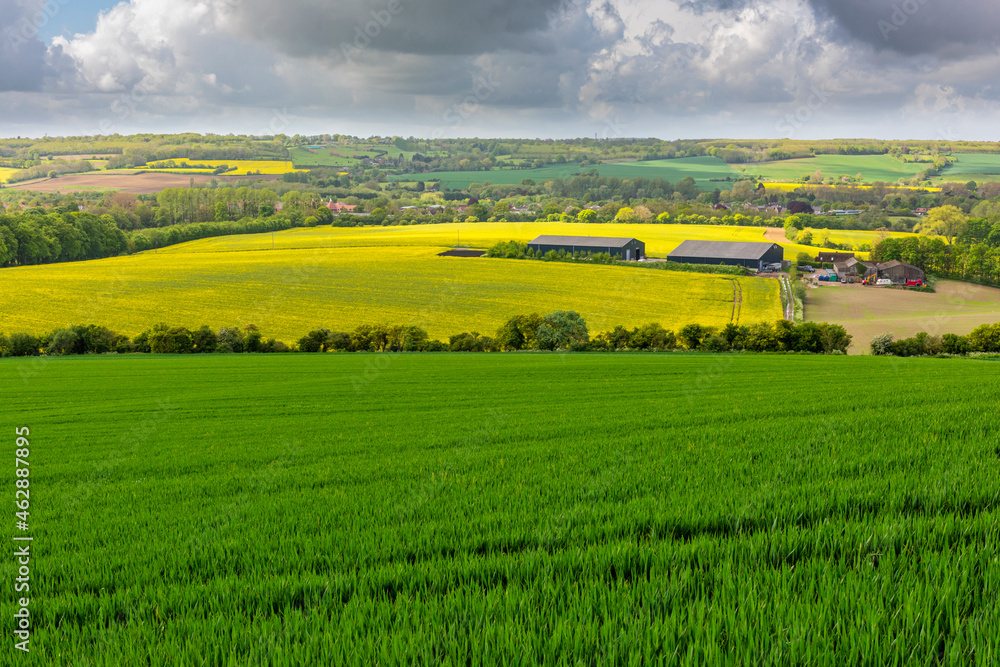 Fototapeta premium View from the North Downs towards Hollingbourne near Maidstone in Kent, England 