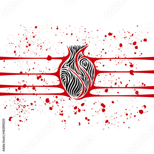 Heart with taut veins