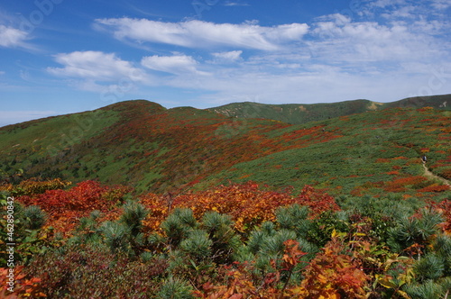 紅葉の岩手のトレイル