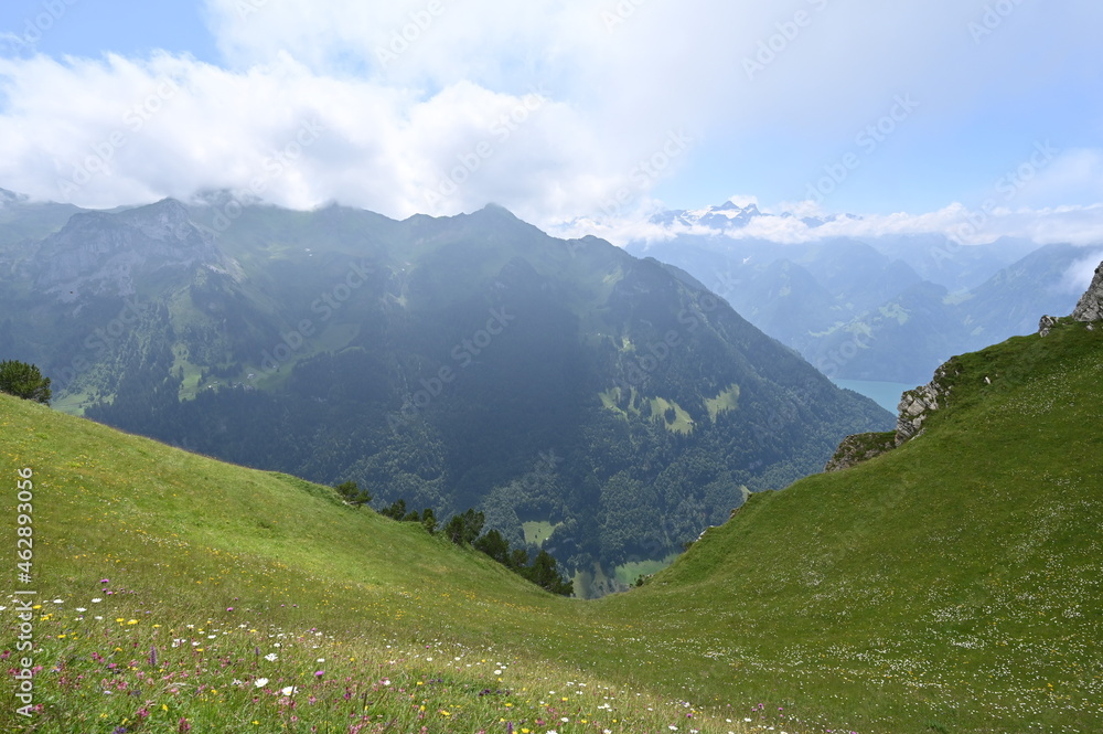 Swiss panorama