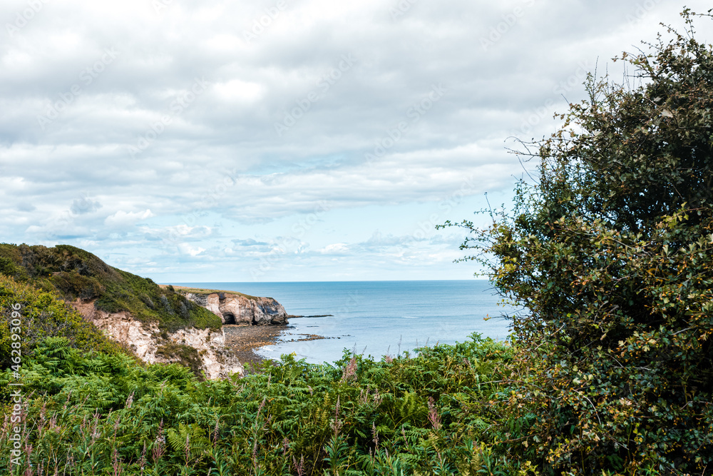 County Durham UK: 26th July 2020: Durham Heritage Coast in Summer time with lots of foliage