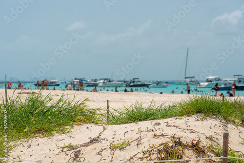 Beautiful Caribbean beach Playa Norte or North beach on the Isla Mujeres near Cancun, Mexico photo