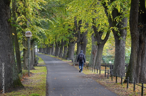 Fototapeta Naklejka Na Ścianę i Meble -  walking in the park
