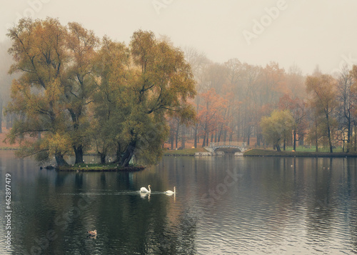 Mystical morning autumn landscape with fog over the lake. Foggy autumn landscape with State Museum Reserve Gatchina. © sablinstanislav